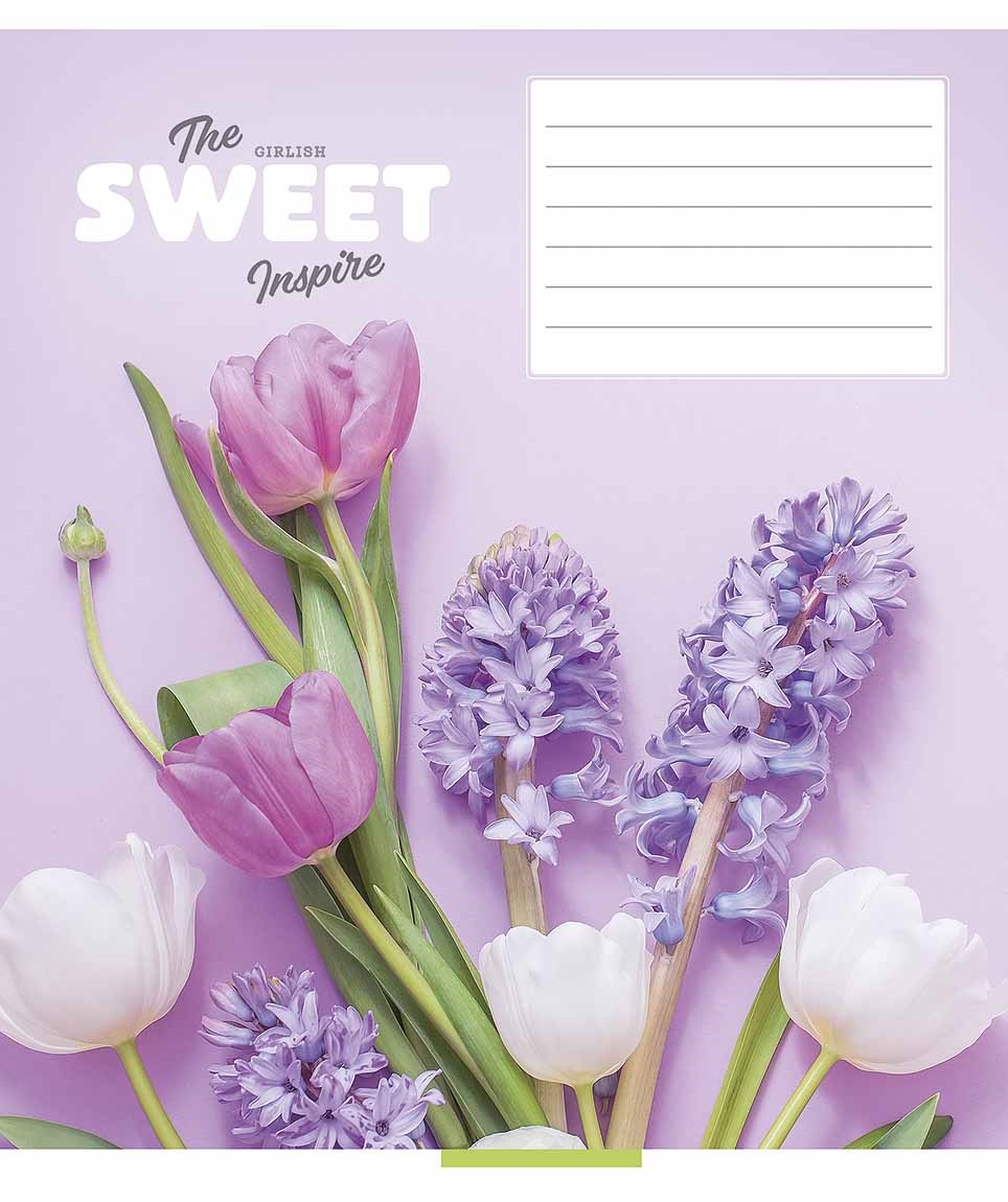 Зошит 18 арк клітинка 3382 Sweet 2025 дів