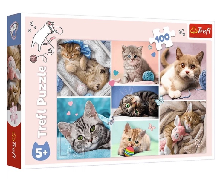 Пазлы 100 В кошачьем мире